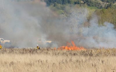 Homeowners learn to do prescribed burns