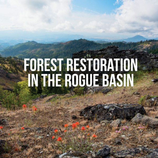 Restoring the Rogue Basin story map