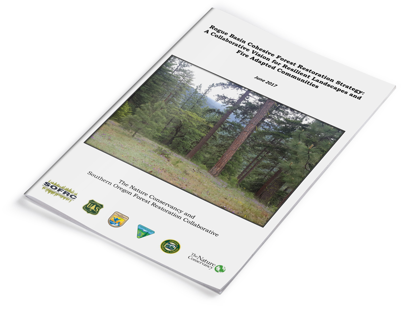 Rogue Basin Cohesive Forest Restoration Strategy