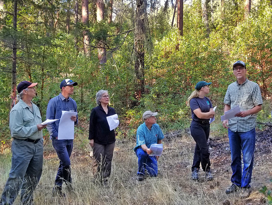 The Rogue Forest Partners technical review team on a field tour