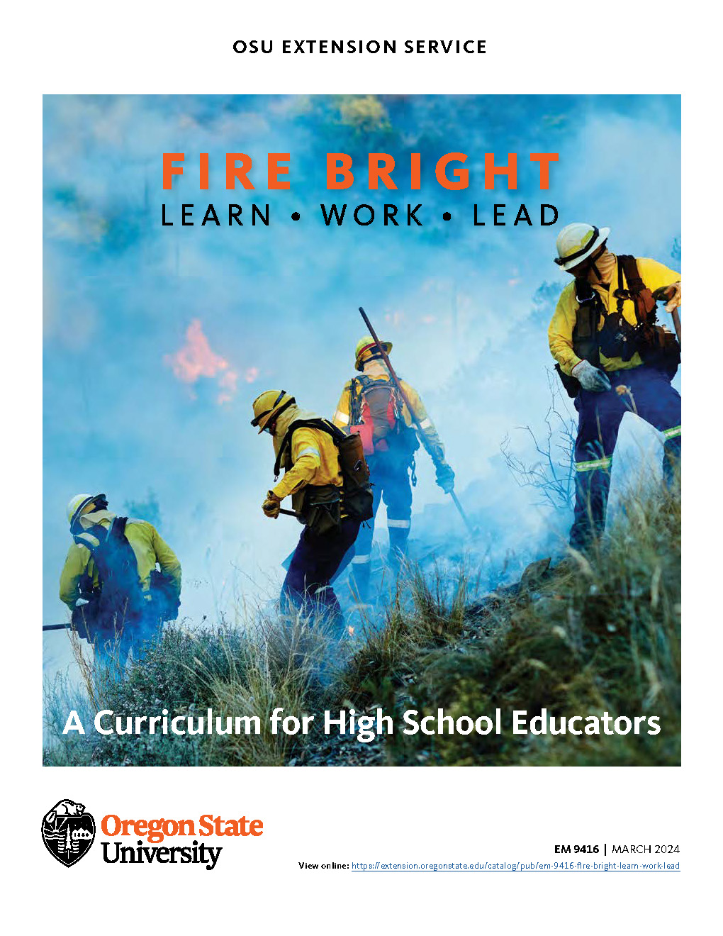 Fire Bright: Learn, Work, Lead. A Curriculum for High School Educators.